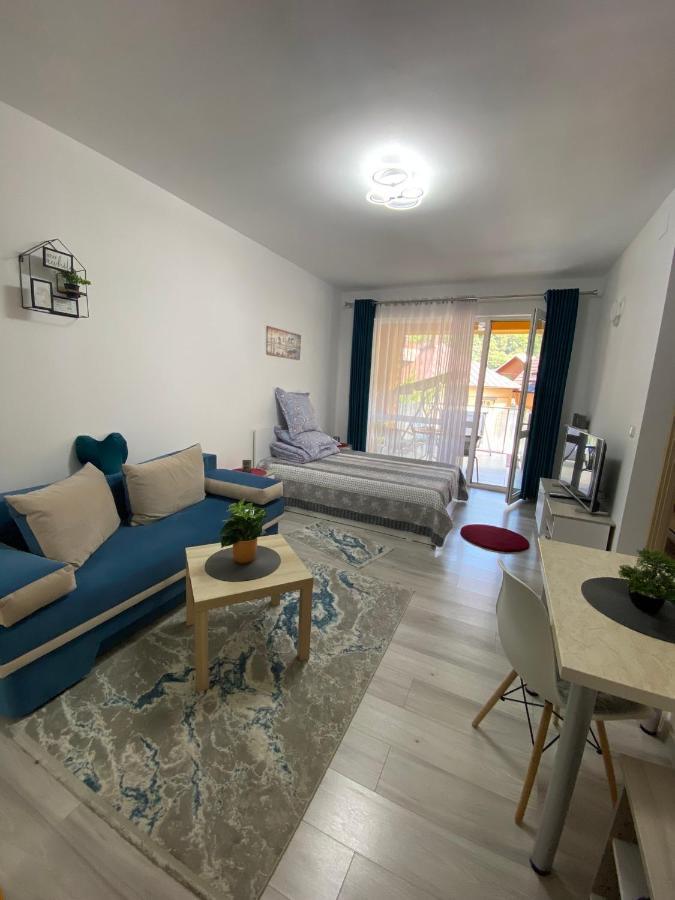 Ferienwohnung Magic Belleview Sinaia Exterior foto
